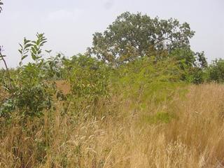 #1: The confluence point, view towards south