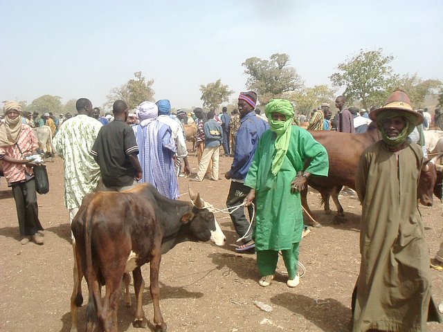 Dealers at Le Drale cattle market near Kati