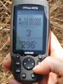 #6: GPS zero in the shrub forest