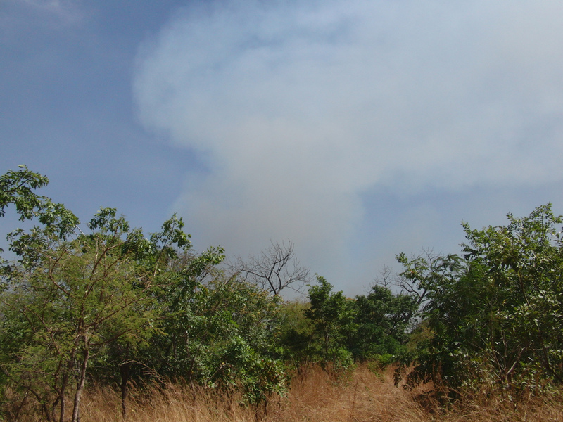 90m outside scrubs - bushfire eastwards