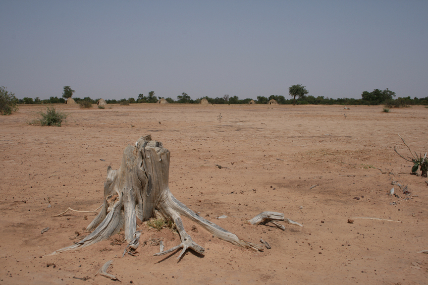 Sabkha plain outside the bush