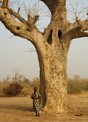 #8: Oumou under a baobab