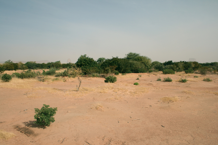 Oued view to the North