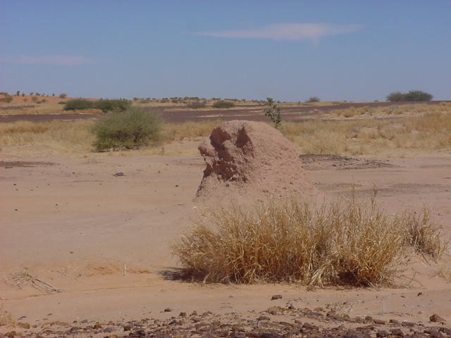 The sphinx of Ménaka