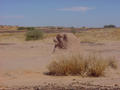#4: The sphinx of Ménaka
