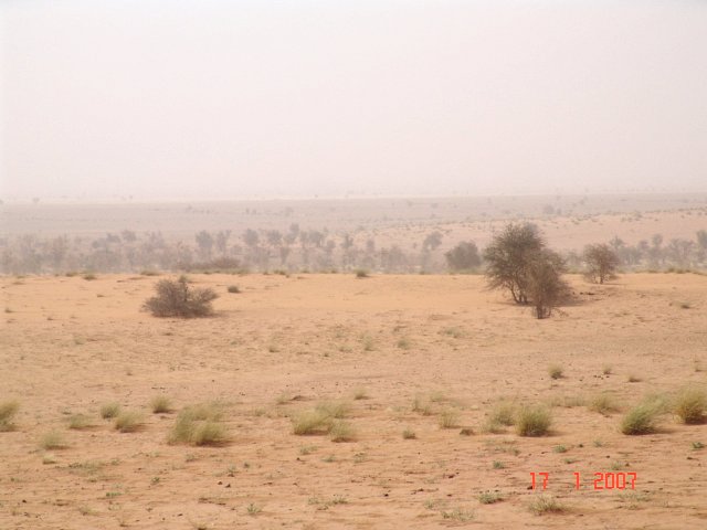 South view