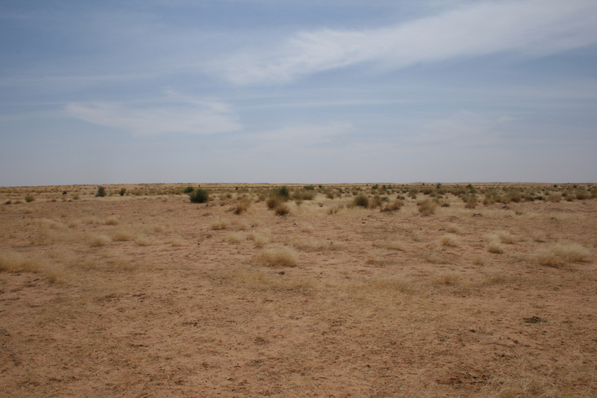 Looking South
