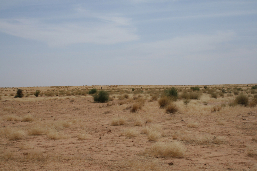 Dunes in grassland north of the Niger