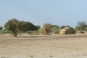 #8: Nomad camps along the river banks
