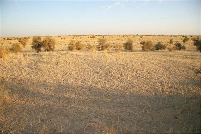 Looking south from the site