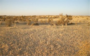 #1: Looking north from the site.