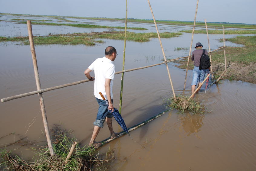 The single bamboo bridge about 40 meters from the point