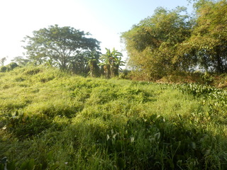 #1: The Confluence from 6 m - View to the South