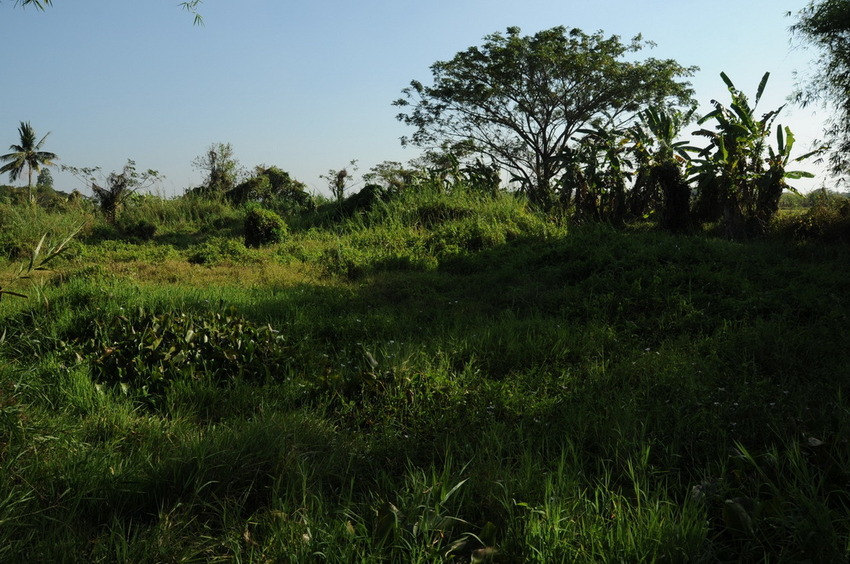 General view and looking toward South