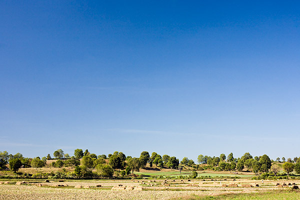 Rice fields west of Kama Village