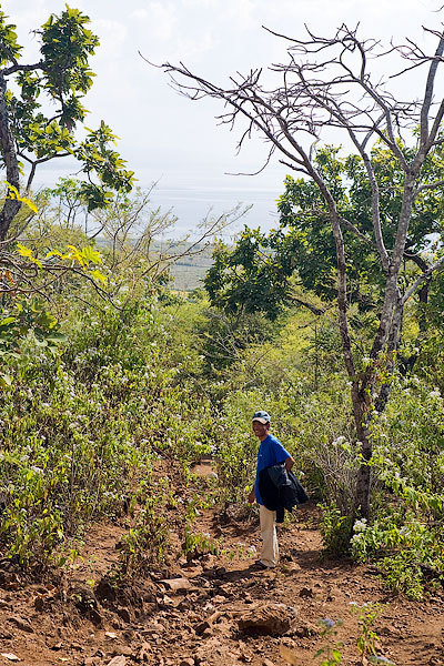 View from the degree confluence down the hill to the south