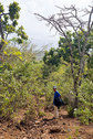 #3: View from the degree confluence down the hill to the south