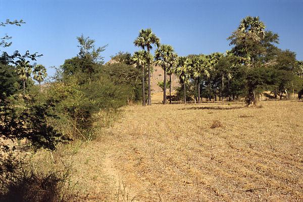 View to the north from the degree confluence