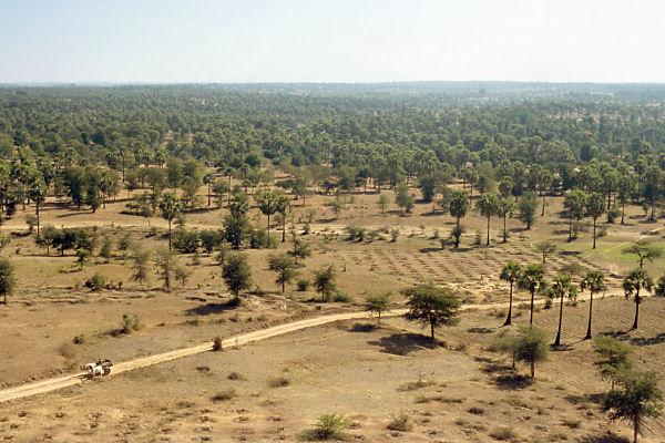 The degree confluence is in the middle of the photo as seen from the temple