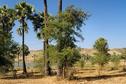 #5: A small artificial lake west from the degree confluence called Taung Nan Tha Seh