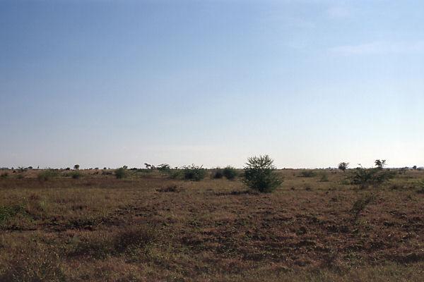 View from the degree confluence to the south against the sunlight