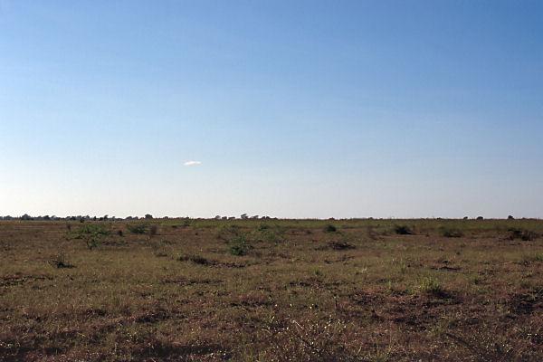 View to the west from the degree confluence