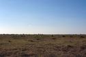 #5: View to the west from the degree confluence