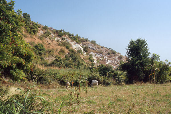 View to the east from the degree confluence