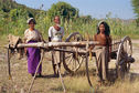 #7: Farmers near the degree confluence