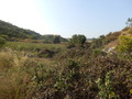 #3: View to the West