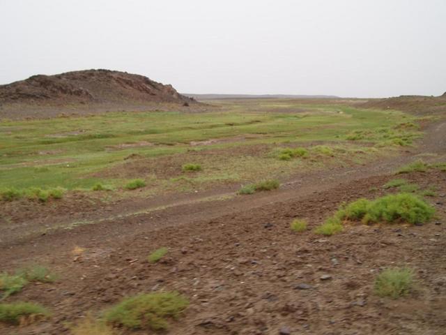 Access track from the north through the oasis