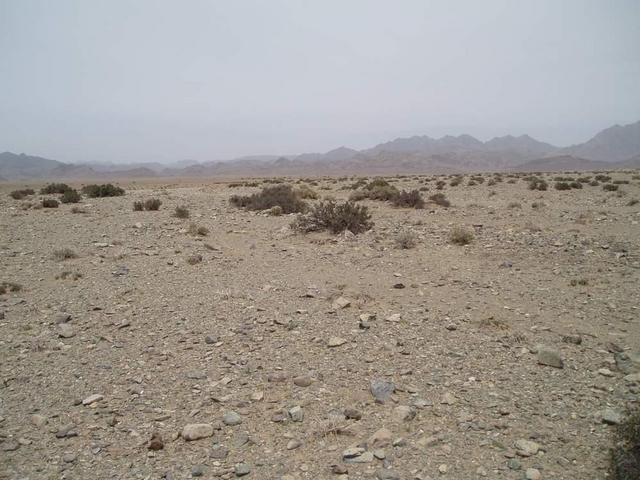 View to the North, confluence in foreground