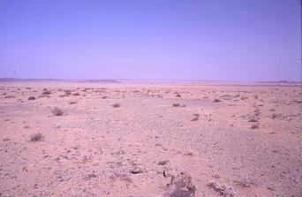 #1: Looking north, stanging at the confluence