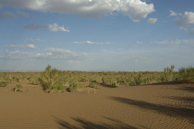 View S from the confluence