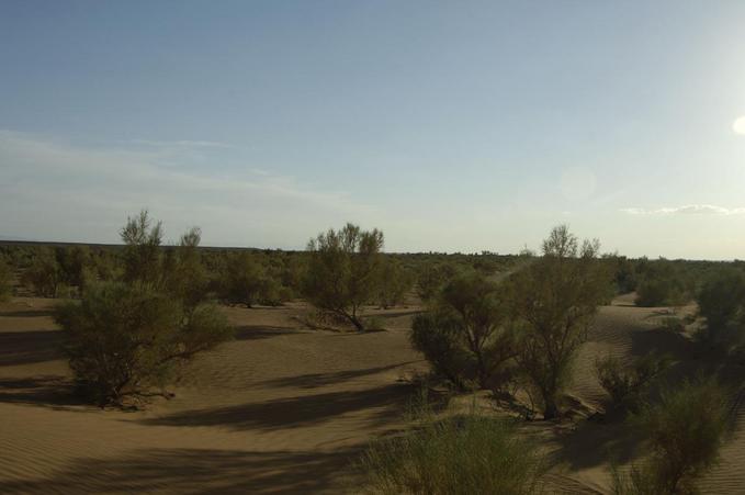 View W from the confluence