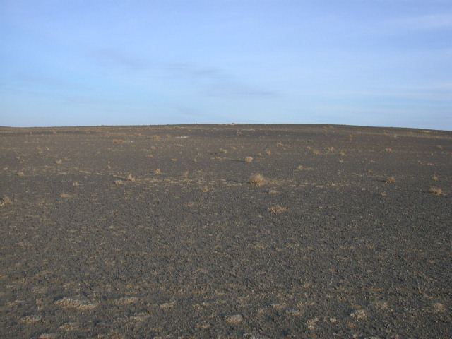 View East
