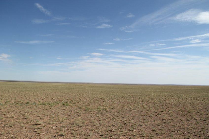 South View.