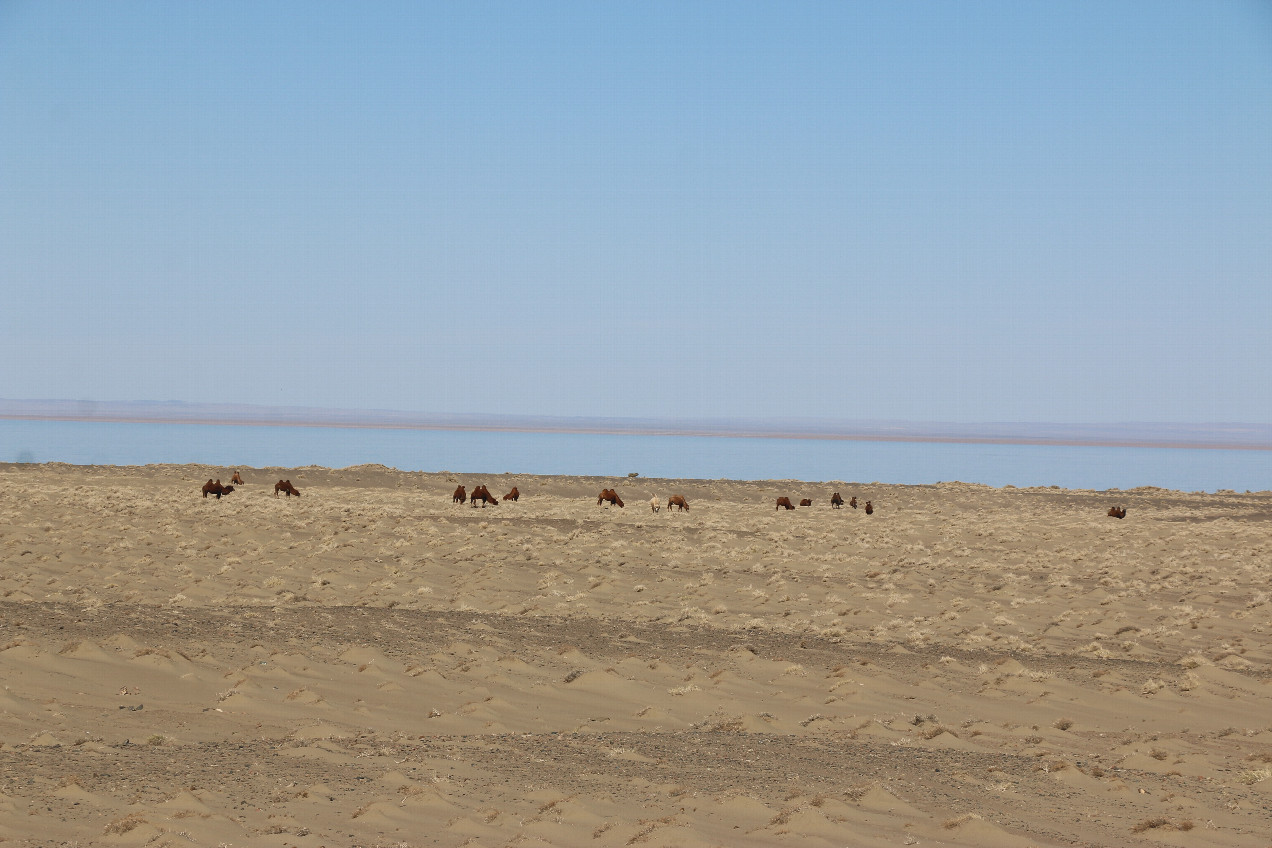 Lake "Buun Tsagaan"