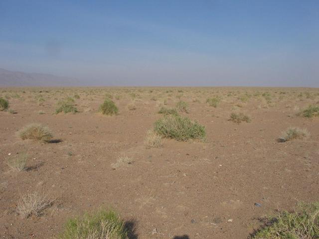 View of the confluence