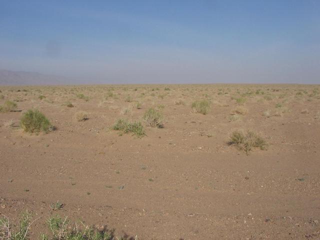 View W from the confluence