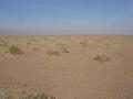 #5: View W from the confluence