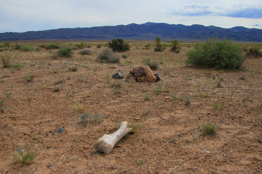 Bone at the confluence 