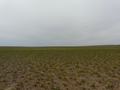 #2: West