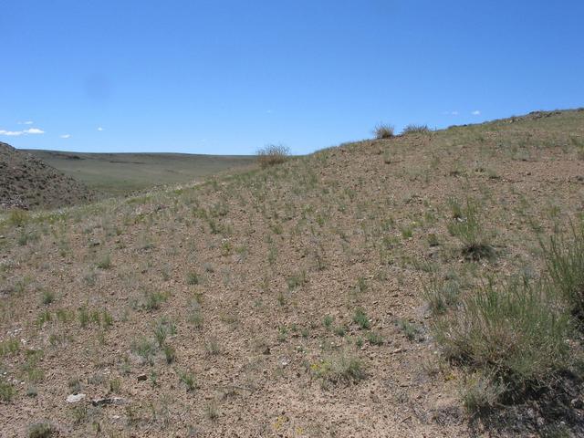 View W from the confluence