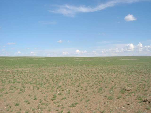 East view from the confluence