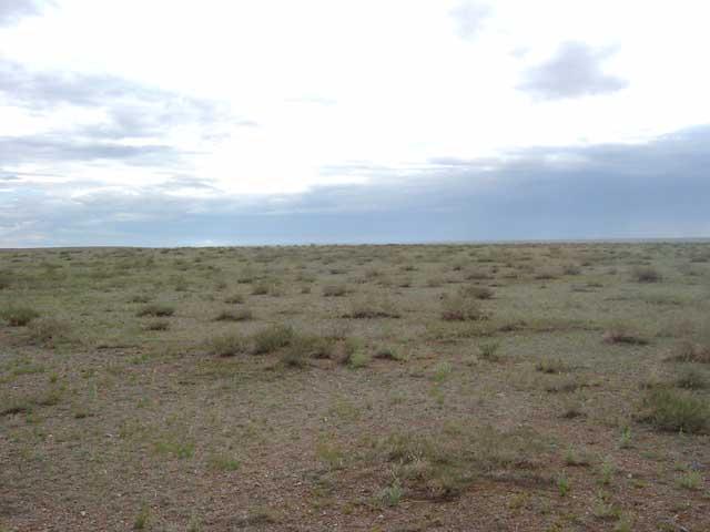 East view from the confluence