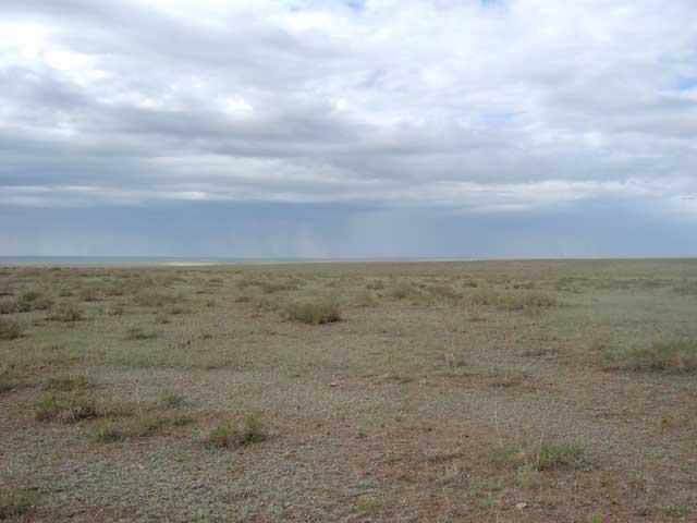 South view from the confluence