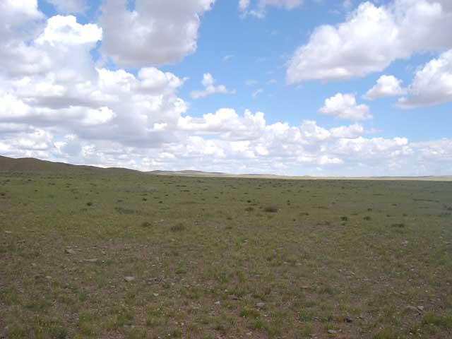 West view from the confluence