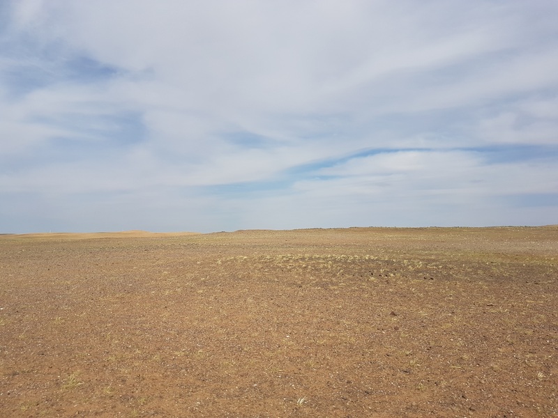 View East: Gobi vastness