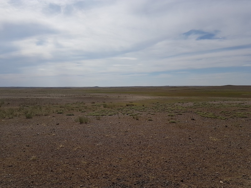 View West: Gobi vastness